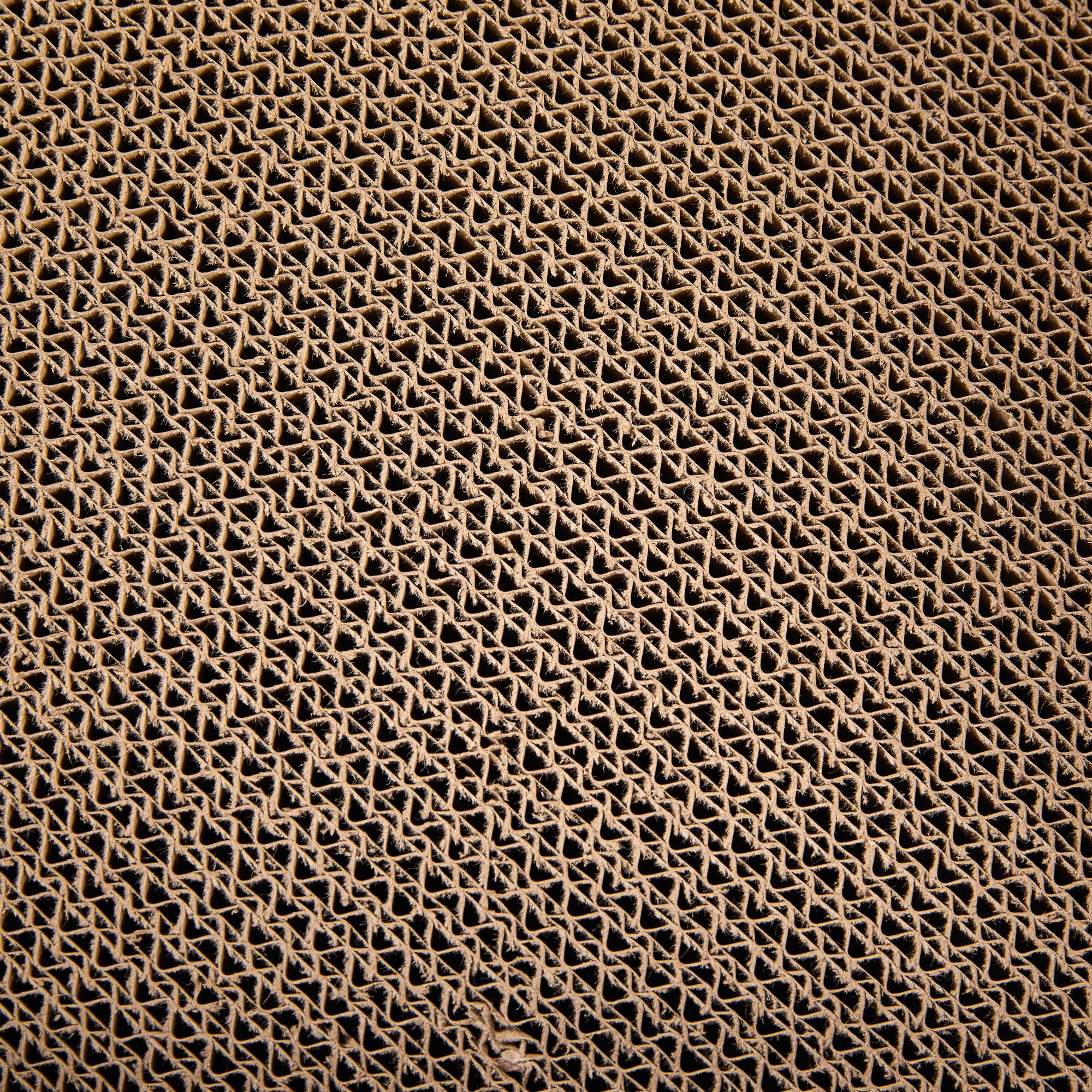 Travel Nest Eco Fold