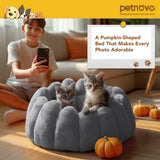 Pumpkin Snuggle Nest