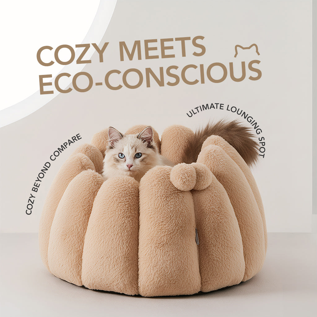 Pumpkin Snuggle Nest