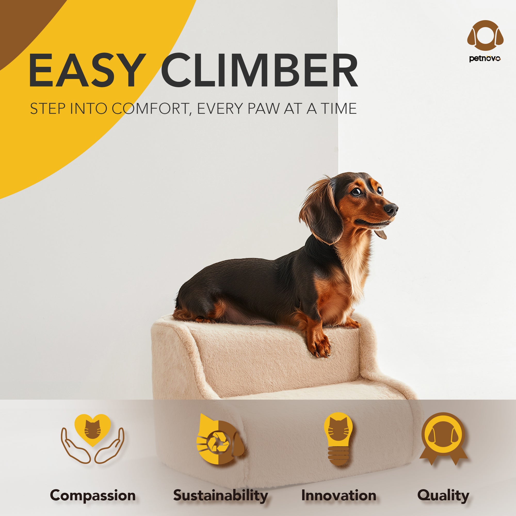 Easy Climber
