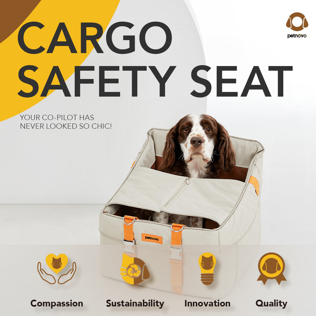 CarGo Safety Seat