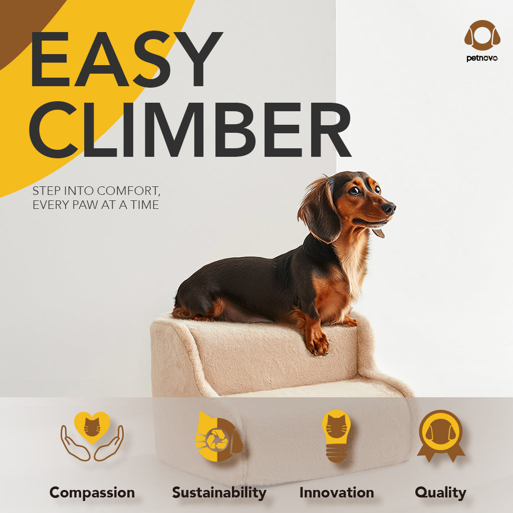 Easy Climber