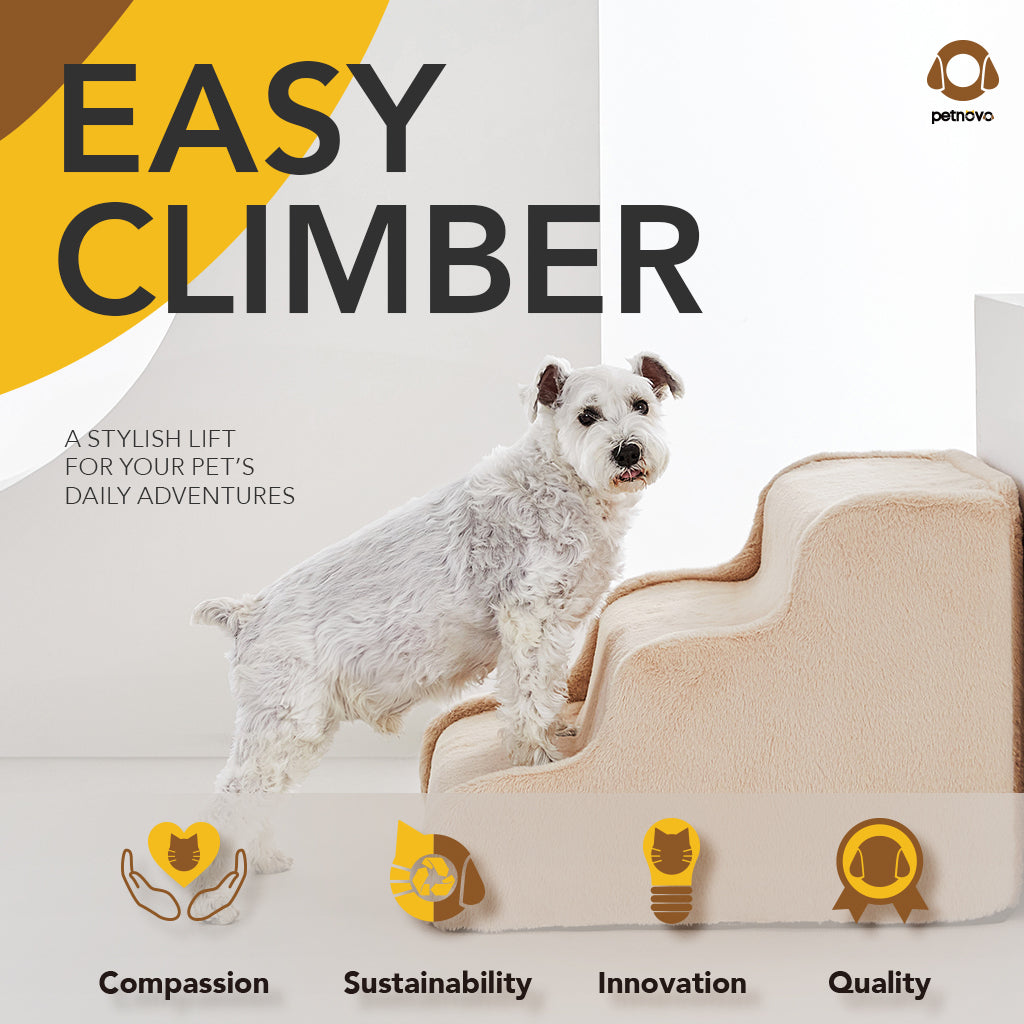 Easy Climber