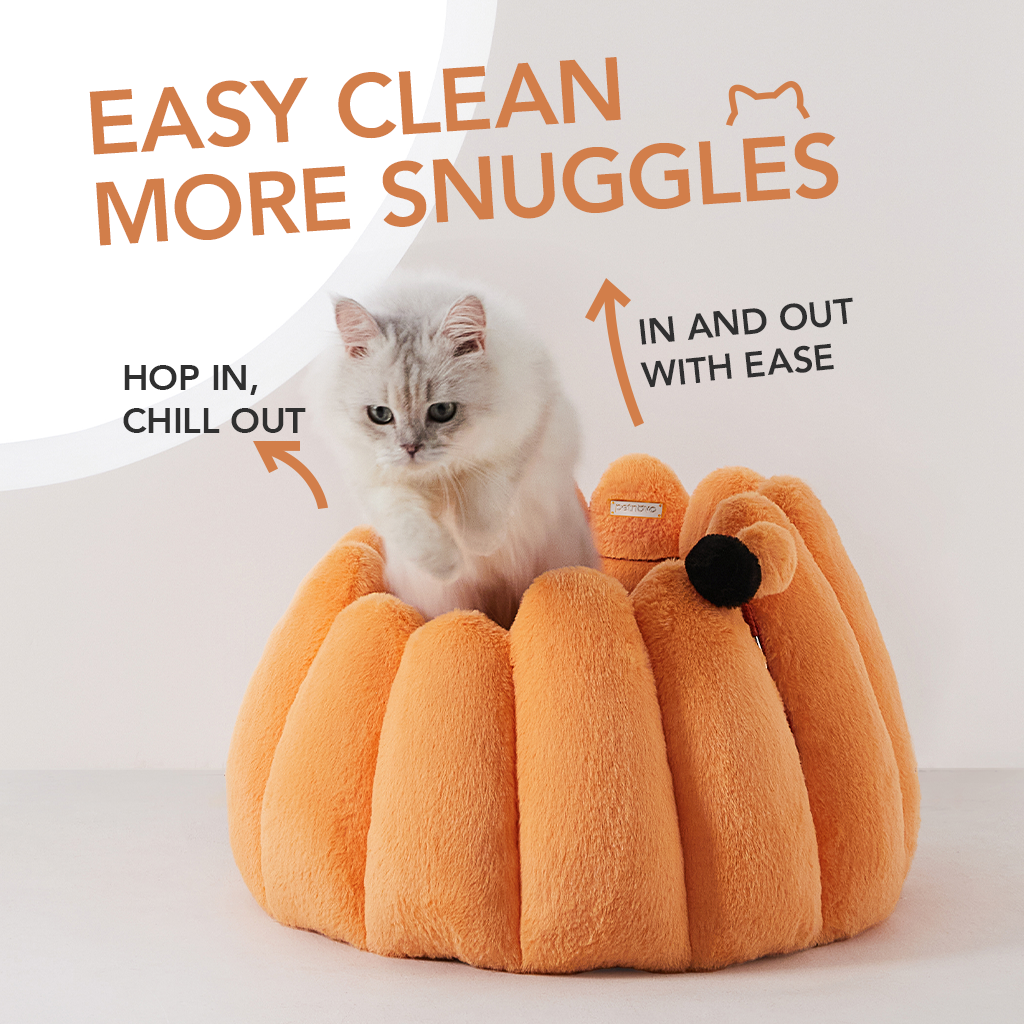 The Pumpkin Snuggle Nest