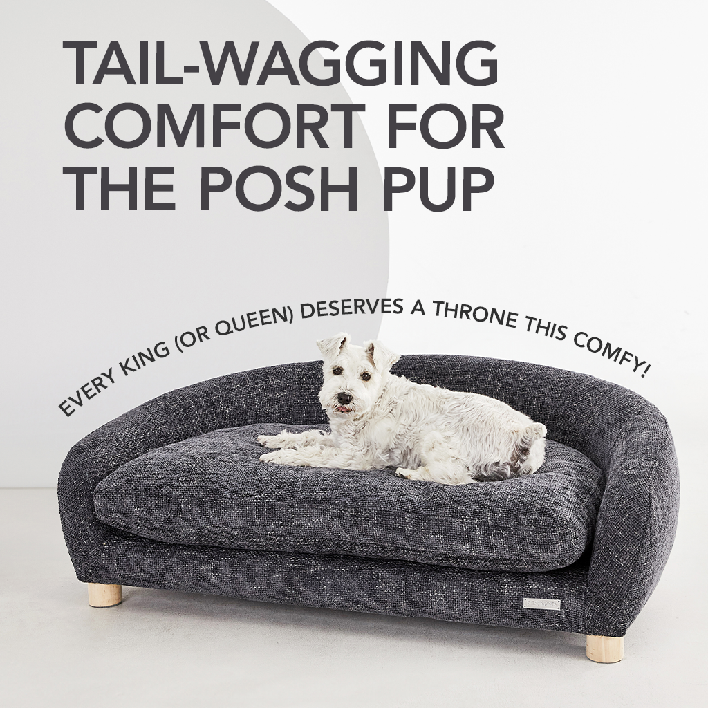 Comfy Sofa