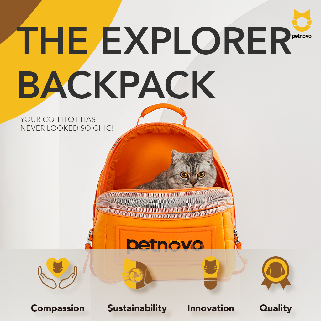 The Explorer Backpack