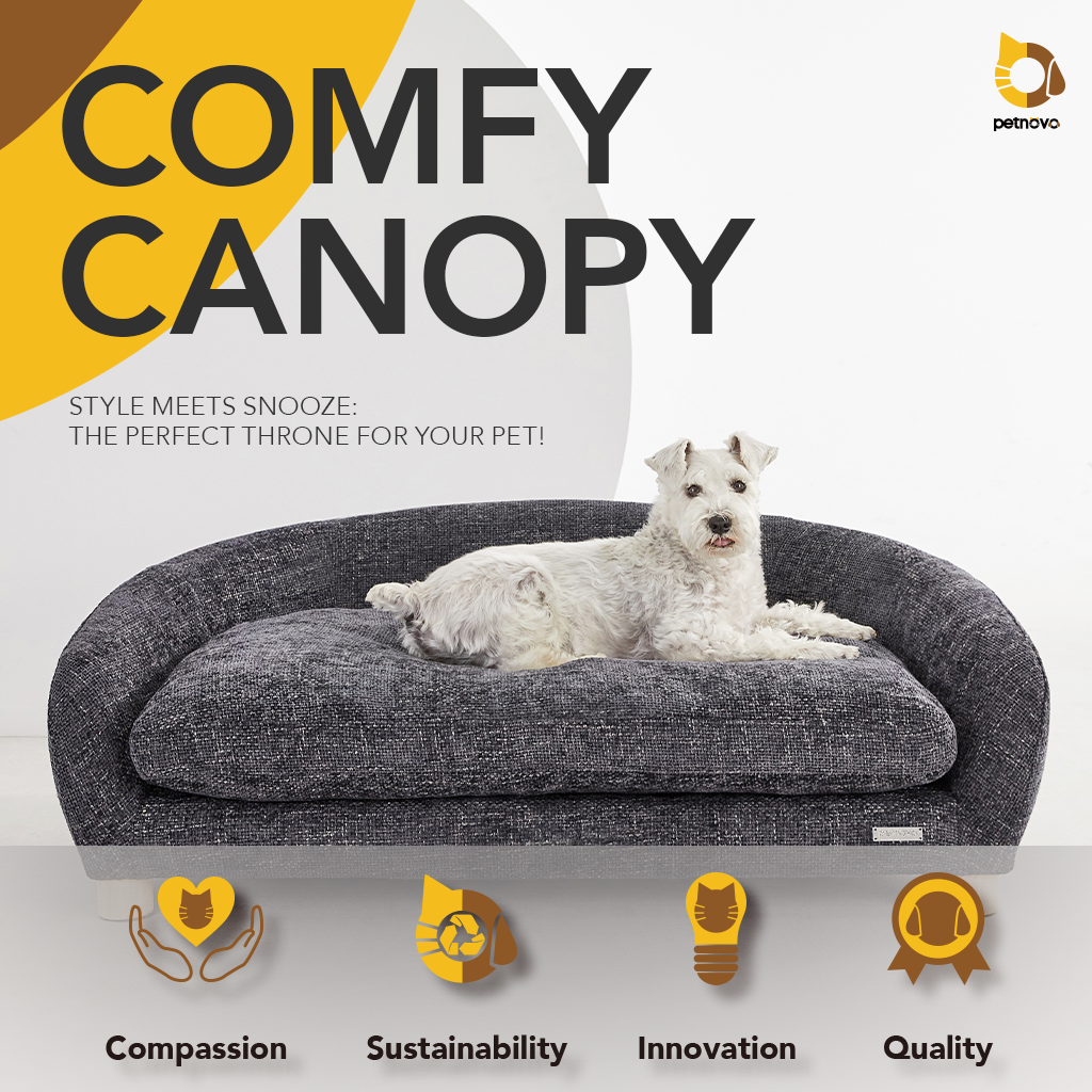 Comfy Canopy