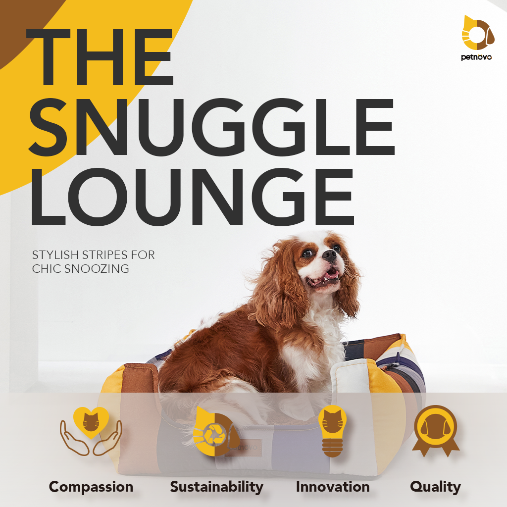 The Snuggle Lounge