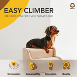 Easy Climber