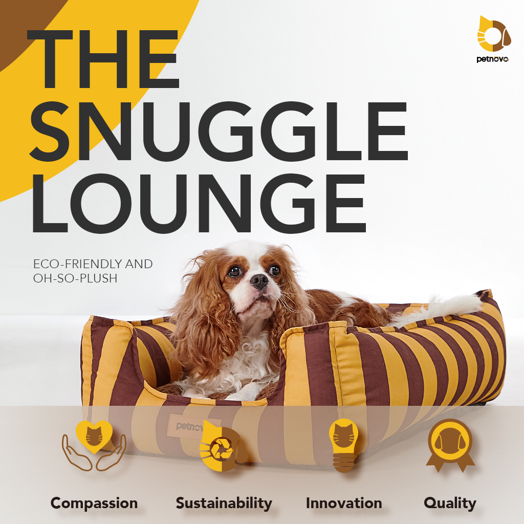 The Snuggle Lounge