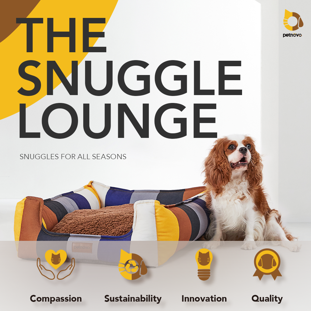 The Snuggle Lounge