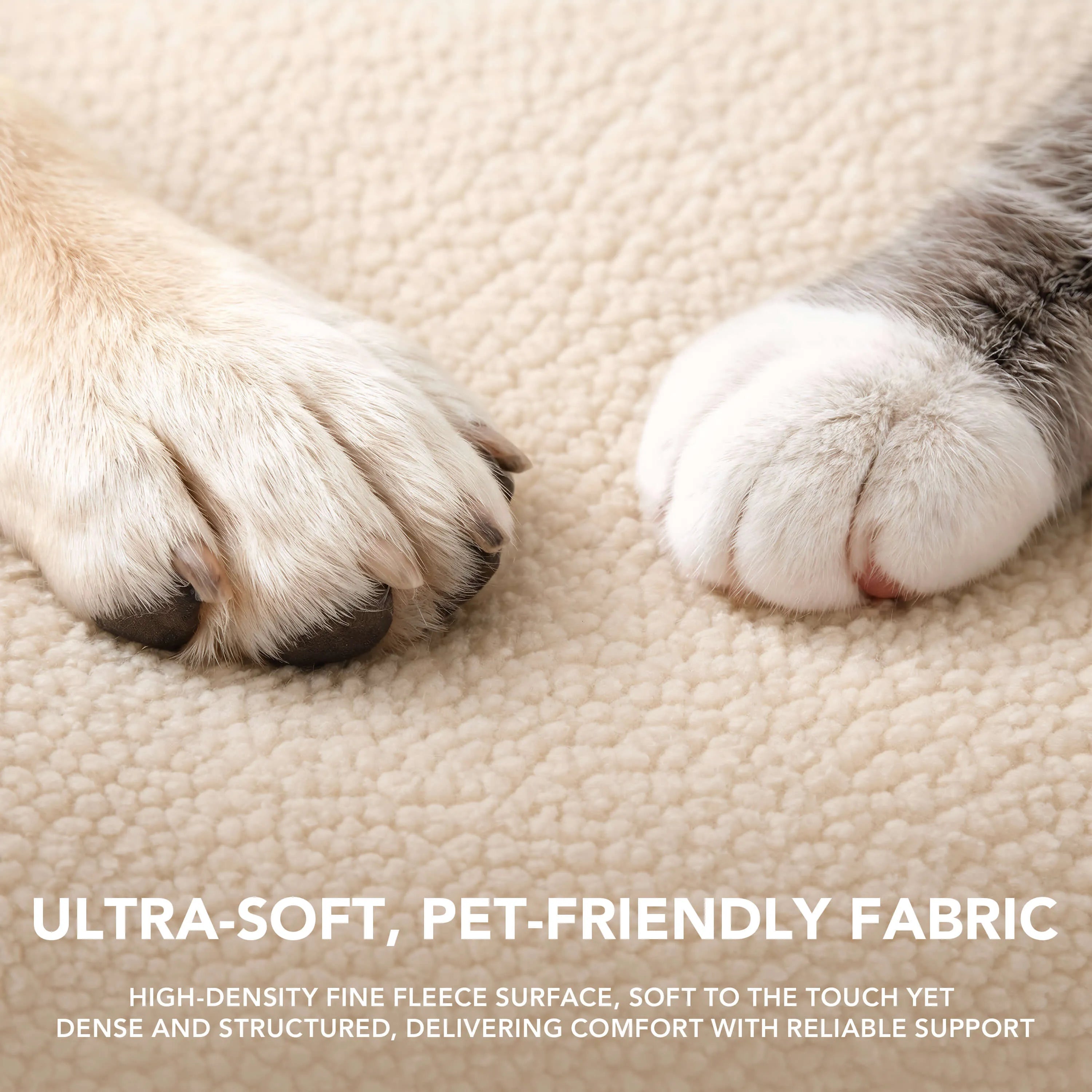 Rainbow Bolster Dog Bed for Medium Dogs — Reversible Cushion, Breathable, Removable Washable Cover
