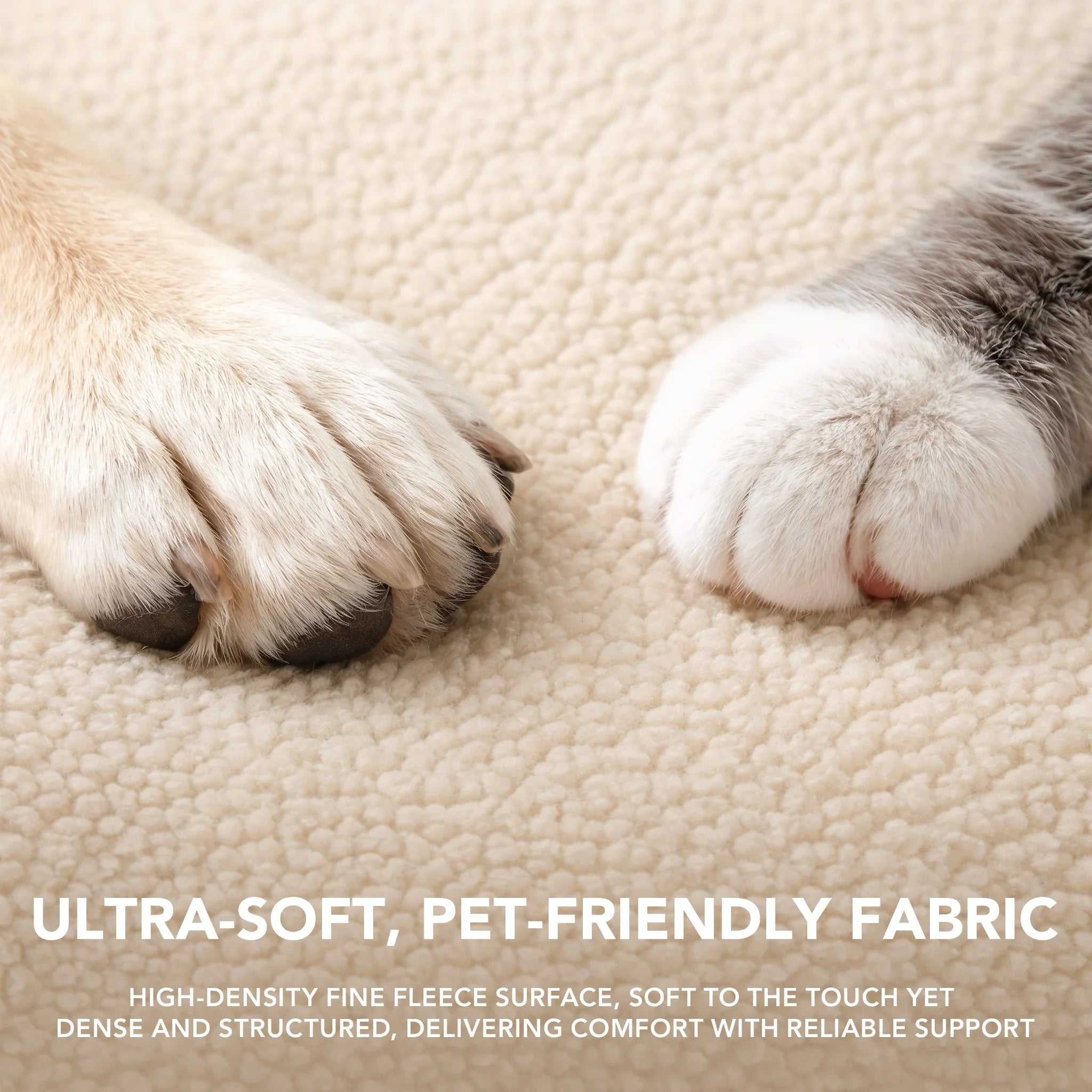 Rainbow Bolster Dog Bed for Medium Dogs — Reversible Cushion, Breathable, Removable Washable Cover